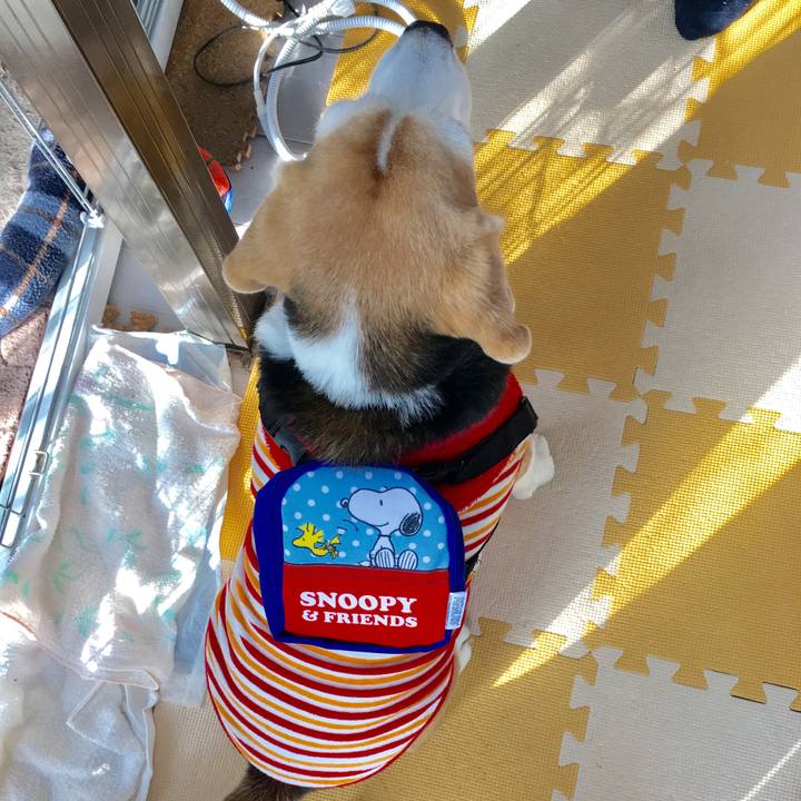 2ef279a0 fd4b 4d34 8fe2 d7ec310f2049