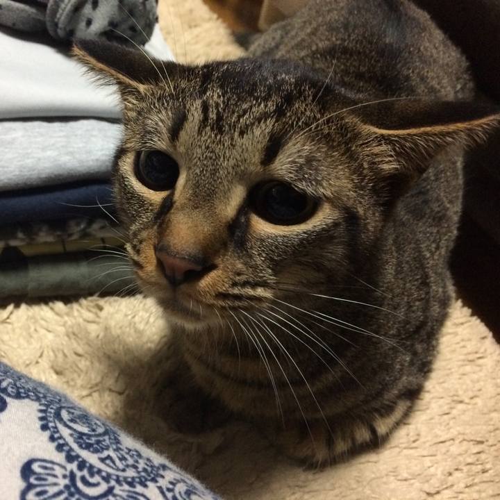 2ef2aaa3 3fe8 42e1 a8f9 334dd4160681