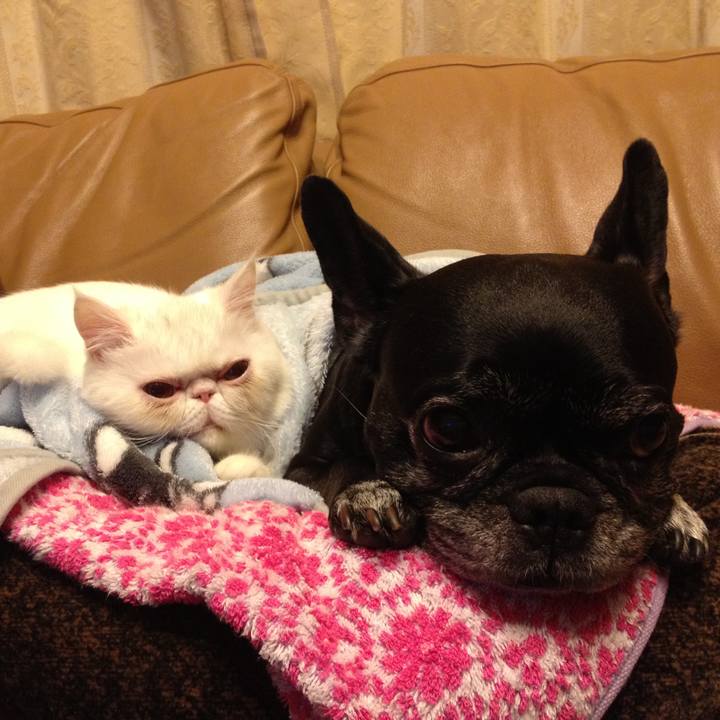 2ef2fbc6 711f 41ec a69e 740820d76a8e