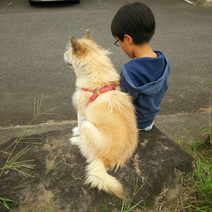 2ef4496e 208b 406d ac87 59fb7f04b7c9