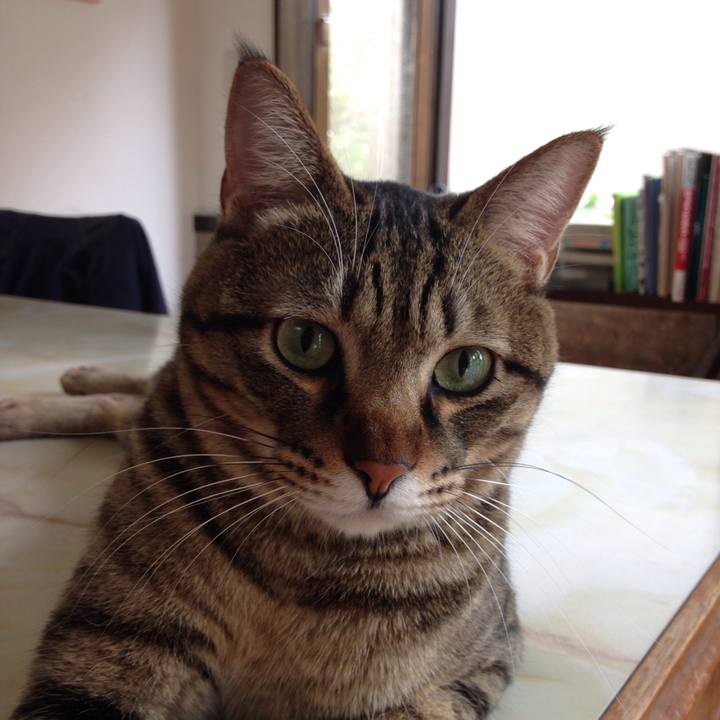 2ef4bcd9 1df7 4471 a21f 2f18b73f1663