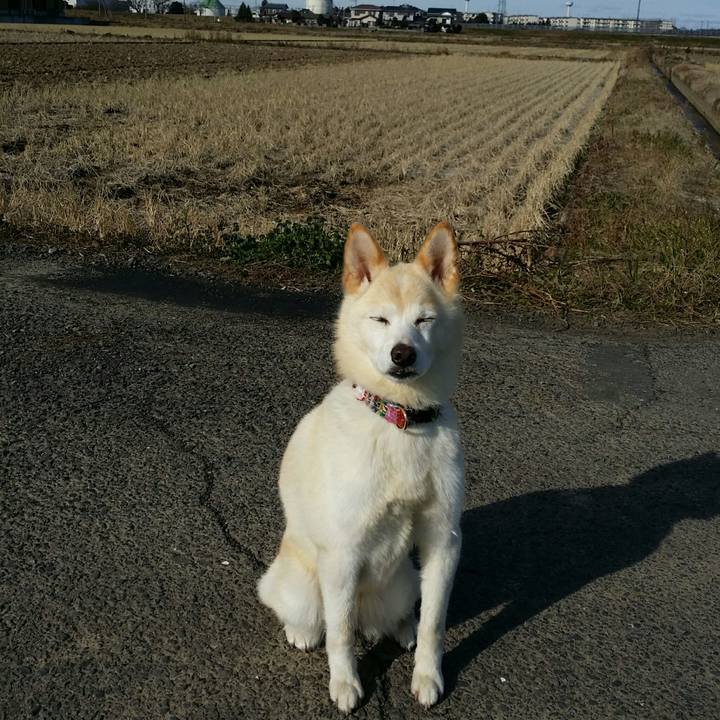 2ef56d7f 0b9b 4423 b4df d06853292cca