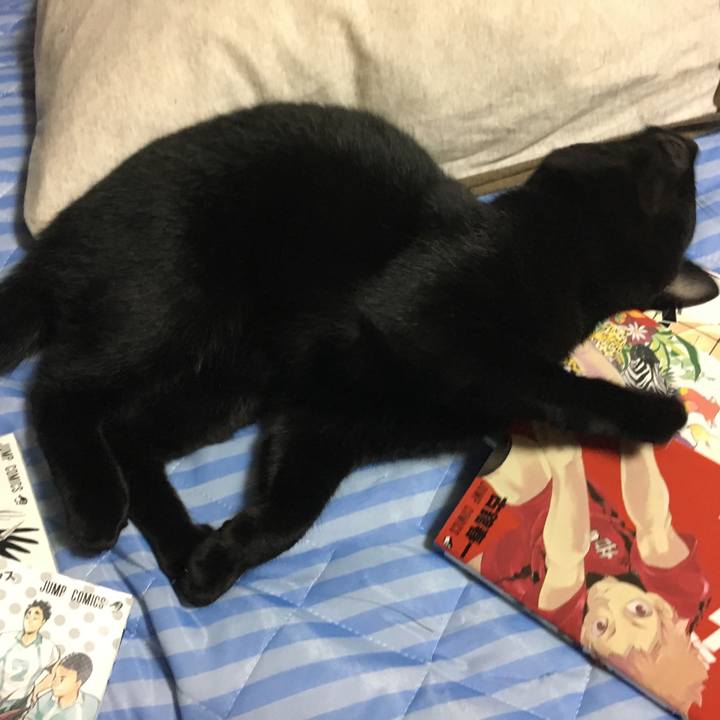 2ef62179 c9c2 4a60 8dc4 a2f4e5ade52f