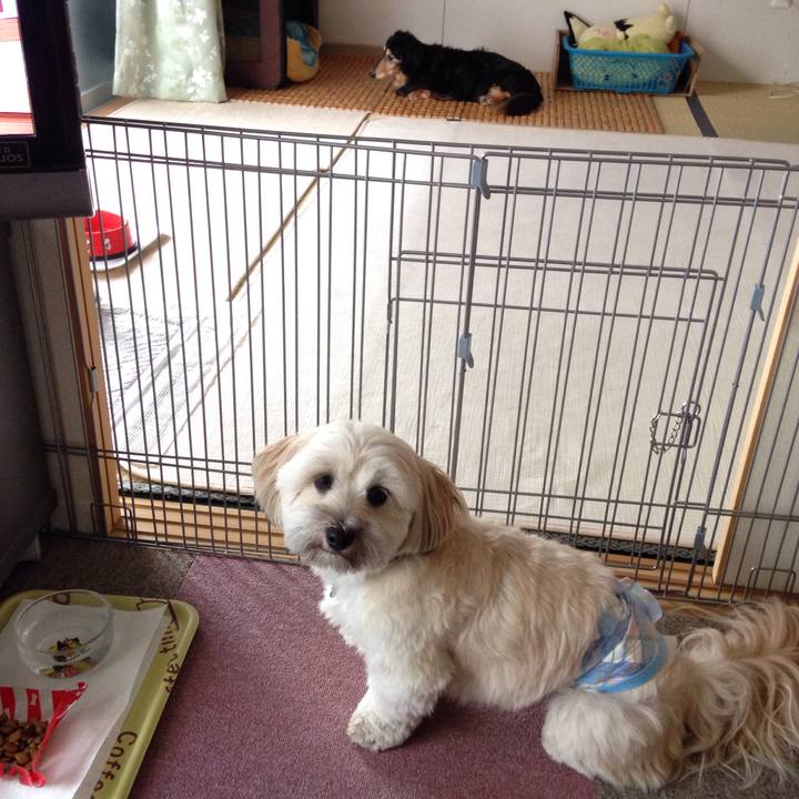 2ef6a6e5 d832 4f21 8f60 7f895160902d