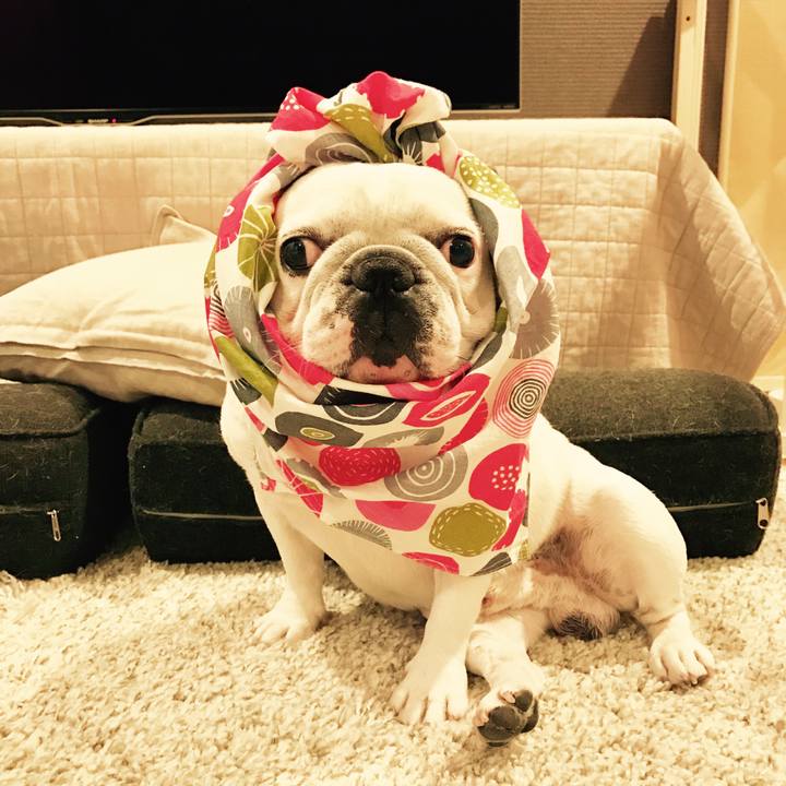 2ef6d814 bf26 47a5 b8e4 eb133218a4fa