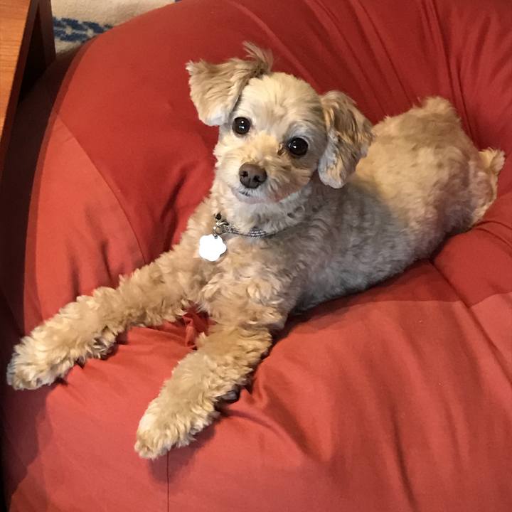 2ef7263d fb74 4a28 b32a f6d0ec268801