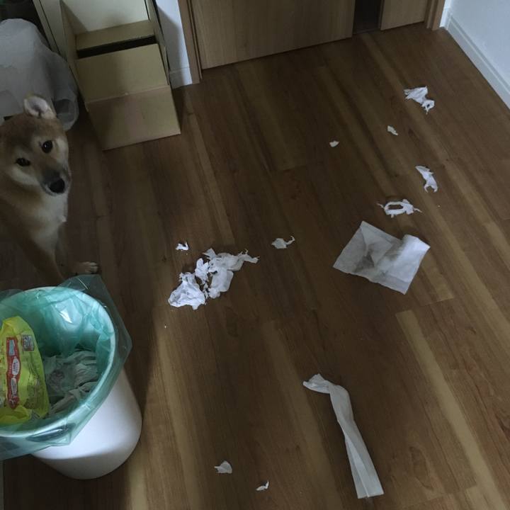 2ef74bb7 1268 4ff7 a318 d7e2897f805c