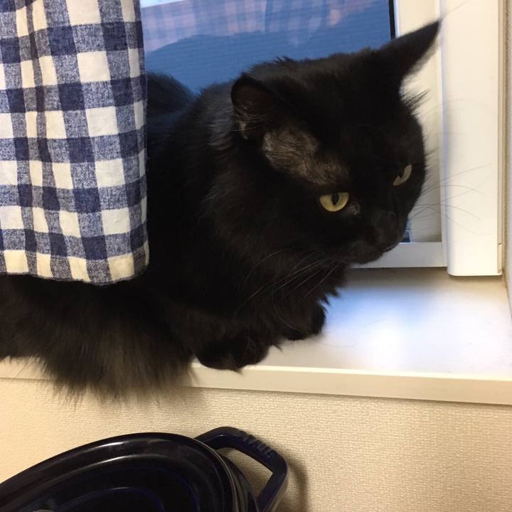 2ef7ac48 fc6f 4ad6 ae89 4dd397a7f8df