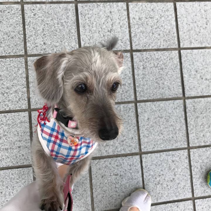 2ef7b2ff 0db0 454b 9100 31aa1d63fe75