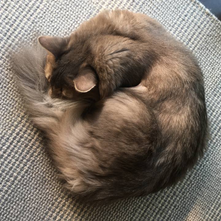 2ef8d254 84bc 4fa7 bcb3 24eebdf9e58d