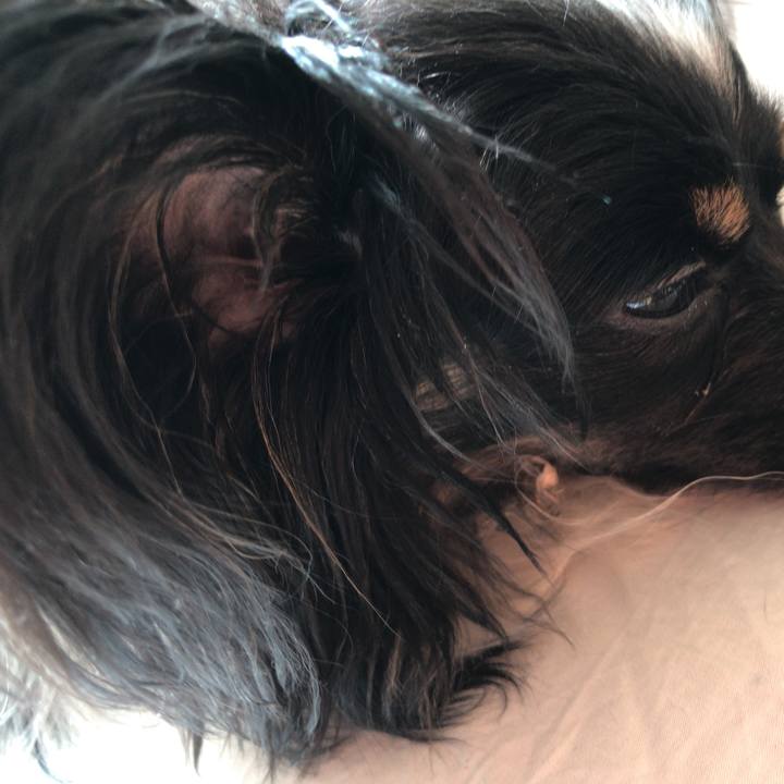 2ef94034 89a1 43e7 9c55 fca777a3fa12