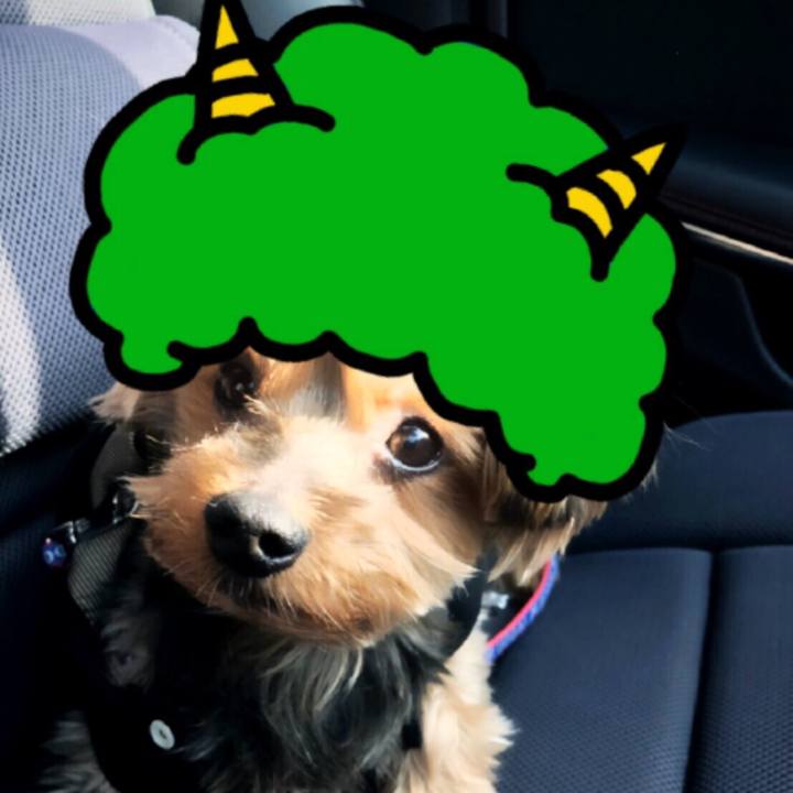 2ef945af 2ad2 4cd8 beae 0425521da000