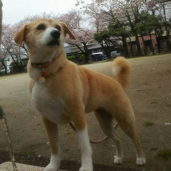 2ef99544 3940 4227 8dfc ed0ab51eb40b