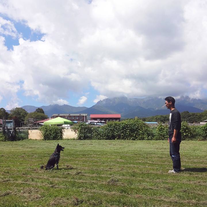 2ef9ae2a 6c7c 4c93 a115 fd405ae7eebd