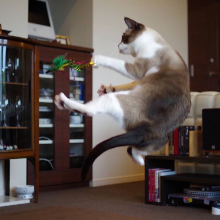 2ef9f329 8d30 4214 9877 c0544f6eae6d