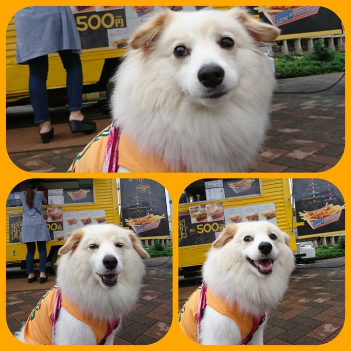 2efb3a3e 054e 4053 83a2 c97345951a63