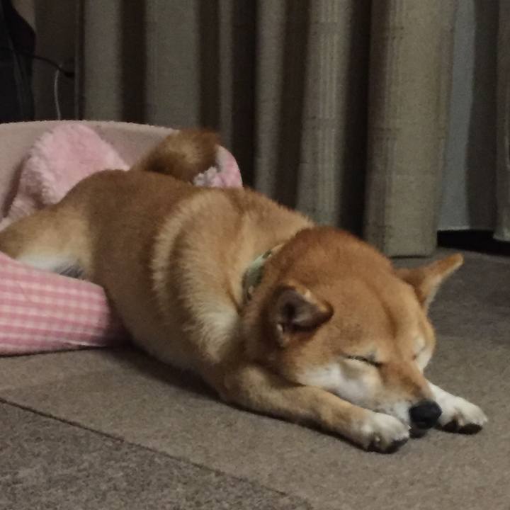 2efbe4d5 7930 46c1 ac48 30eefcbf8869