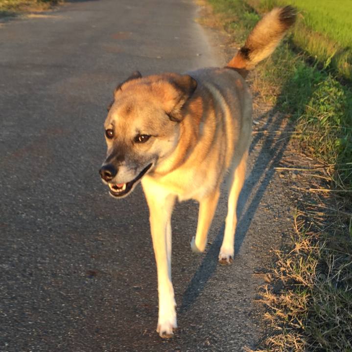 2efcda39 36b3 4e12 b9d3 45b73cfeb5ee