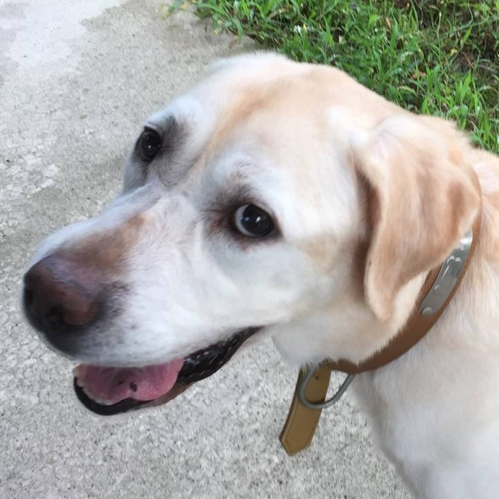 2efd3ba4 6951 42b3 b53e 60134f662e42