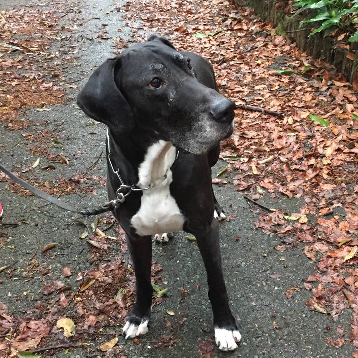 2efdd40f 495d 4452 b4e6 01d937d0bb3a