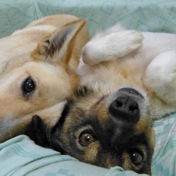 2efde6bb a09a 4573 a433 9abe6e147bc0