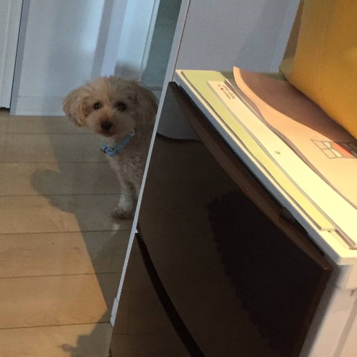 2efe1223 168a 4811 9a58 5fad3b4285de