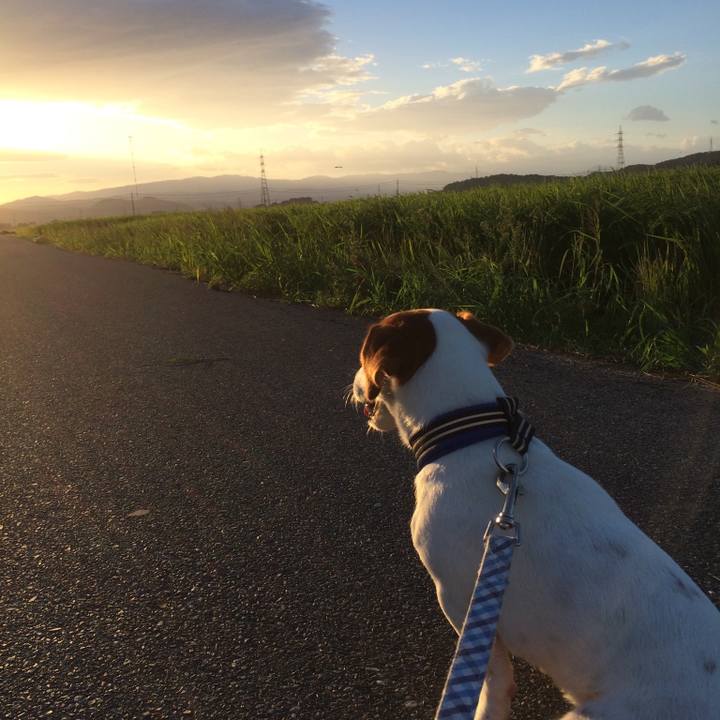 2efe83ce 0a35 4e6f 8b10 260451a26817