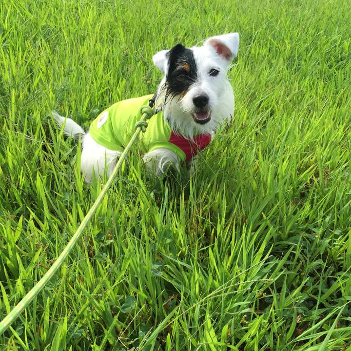 2efe97ea a19d 44dc 82fe 574c9d1409f6