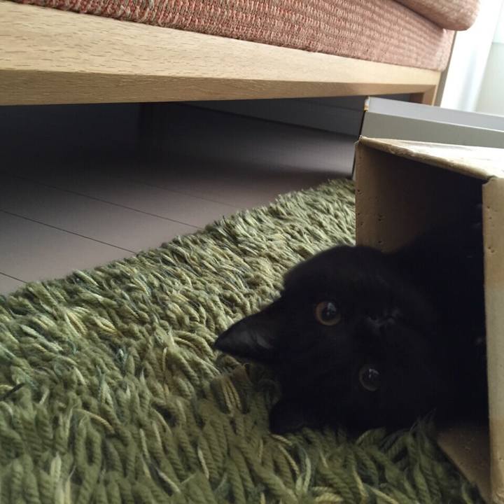 2efeb1d1 faab 4a76 96f1 6129a05c2d4d