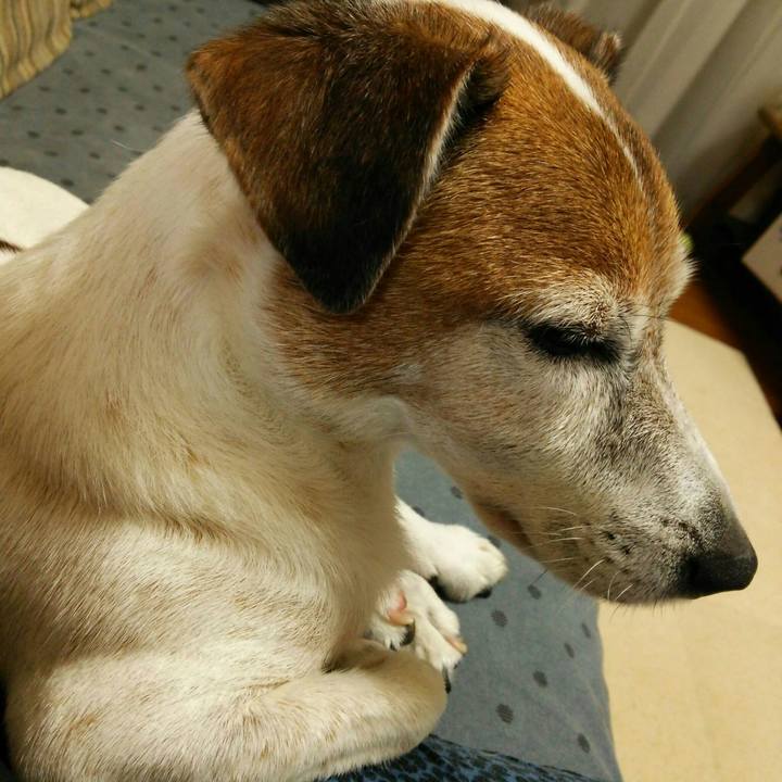 2efee486 a287 463e 9d21 fb48a5cbf989