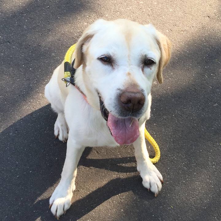 2eff9f54 71bf 410d 8901 2de39d62d50c