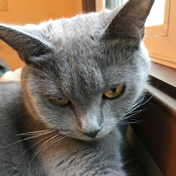 2effc394 a3e4 45db aaa2 e9b78ce30ed7