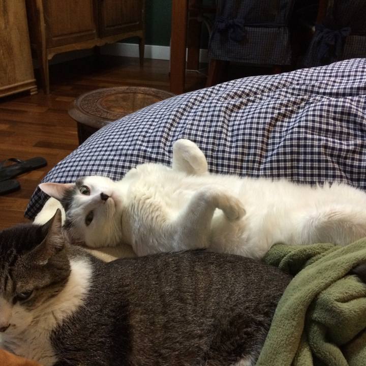 2f001629 8094 49f3 9067 28c7e97e118b