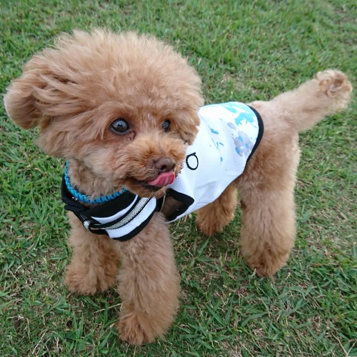 2f0040d0 8a9d 4306 aa34 2c5a3498c598