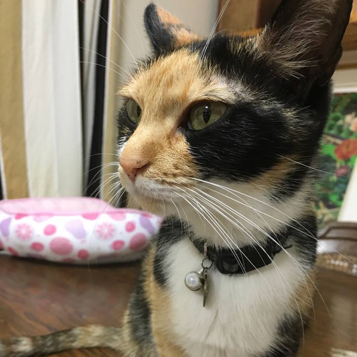 2f00795e b91b 4079 8ae3 42cde316d311