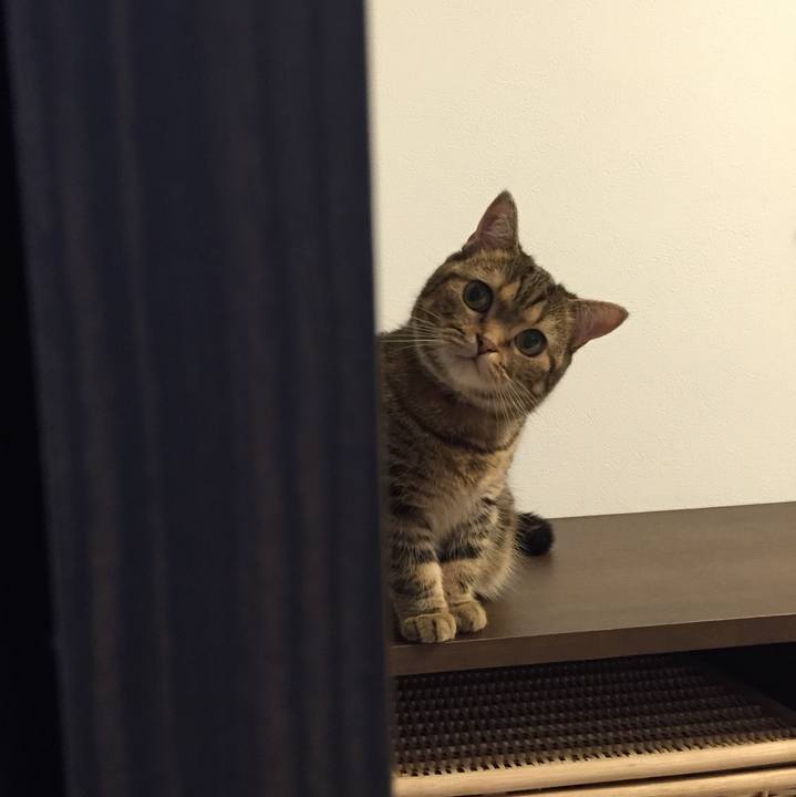 2f0087a9 7a03 4bac 8bb1 2ee69fac71b6