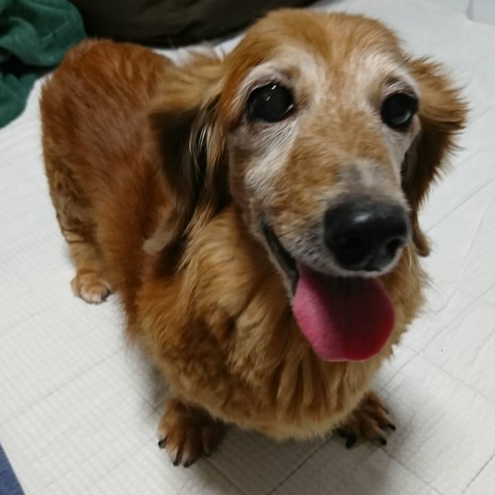 2f00b0b8 62d0 485f 9db9 23ea38cecfb6