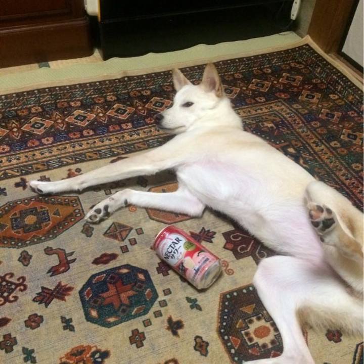 2f01debc 5492 4646 b242 59edefe6ba10