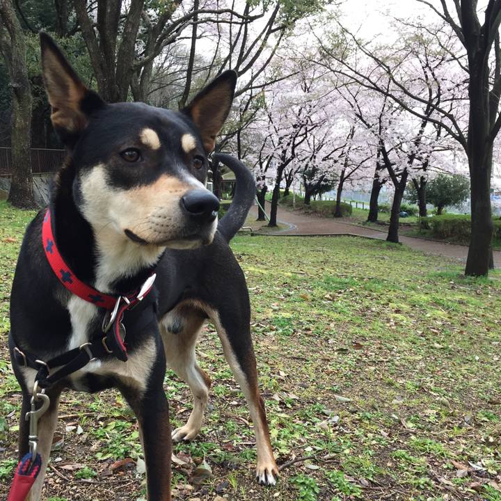 2f01fd34 3895 43d4 a9b9 3d840d4c86b6