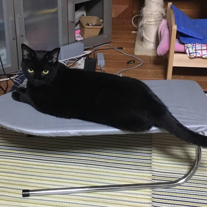 2f02230f 768b 4d92 a595 ac3c48656736