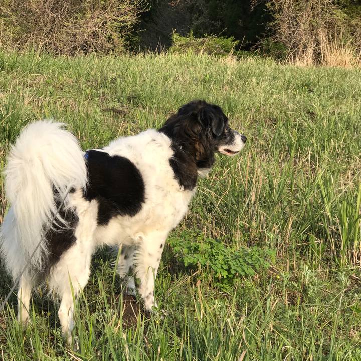 2f02d240 ec44 4793 8b20 ff3e9d3121dd