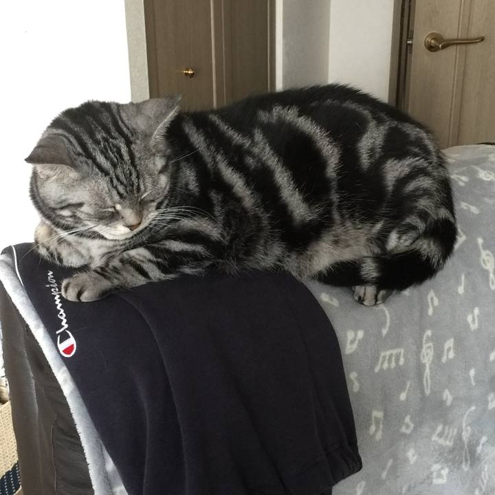 2f035b88 6abe 4a4f ac61 a814728e0f49