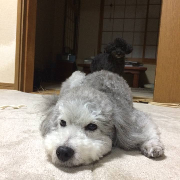 2f035e38 64c7 4ecf a90e 3d9409592f1d