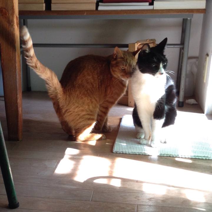 2f041b97 de73 4810 a76a 31faad62cb23