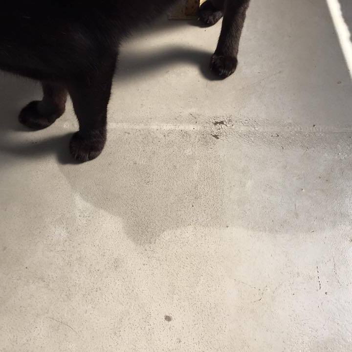 2f04f1b7 fe5c 4047 ac90 b9d0cfa8ac67