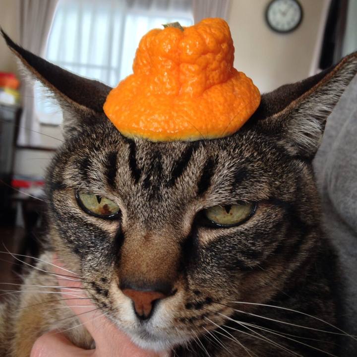 2f052450 a21c 4a01 b105 90cc9f110a74