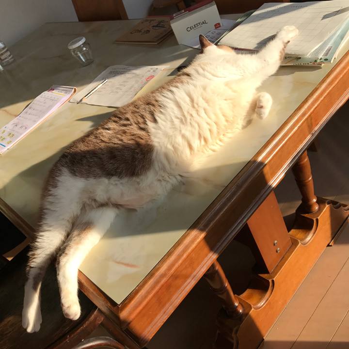 2f05998c a4c3 4015 9a7c 490d8970819e