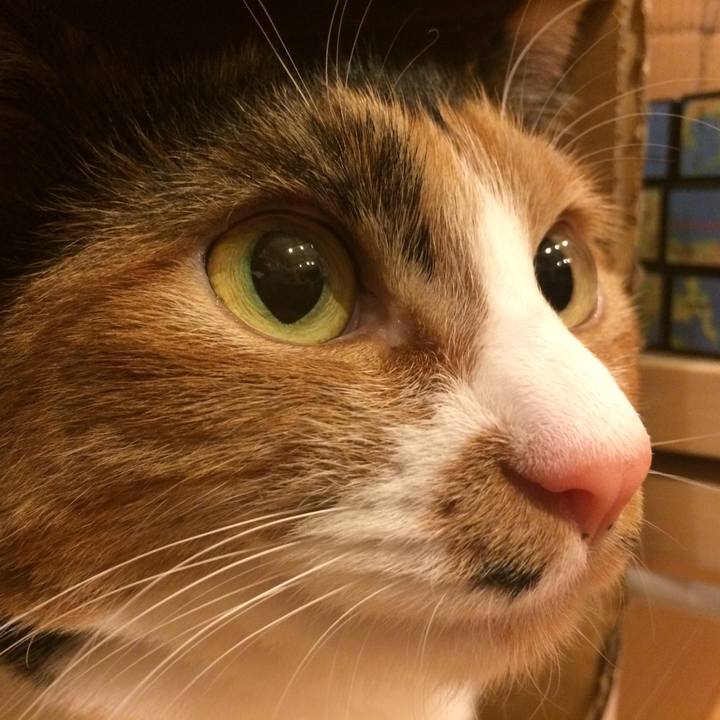 2f05eb9f da92 4290 bd95 8825816f439f