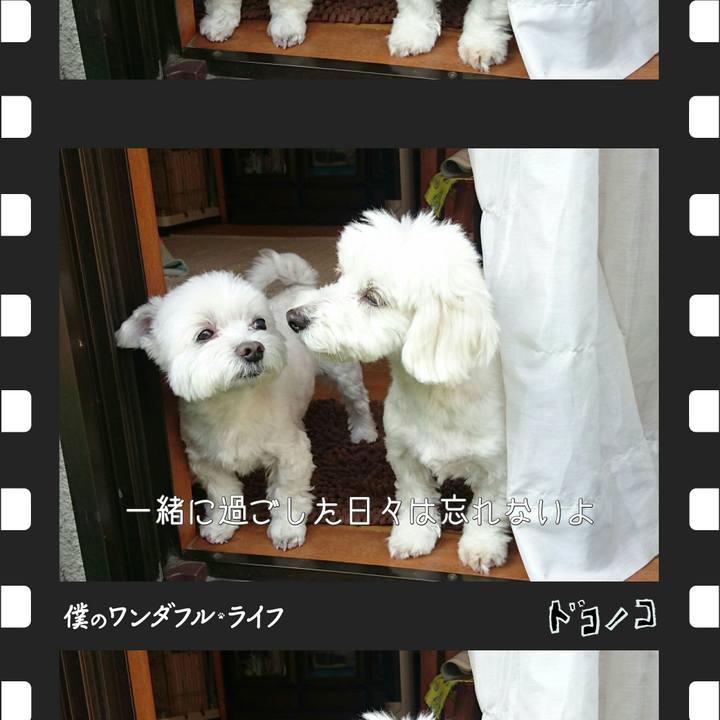 2f060bf1 c393 4cba 8272 f9ef7a1f3139