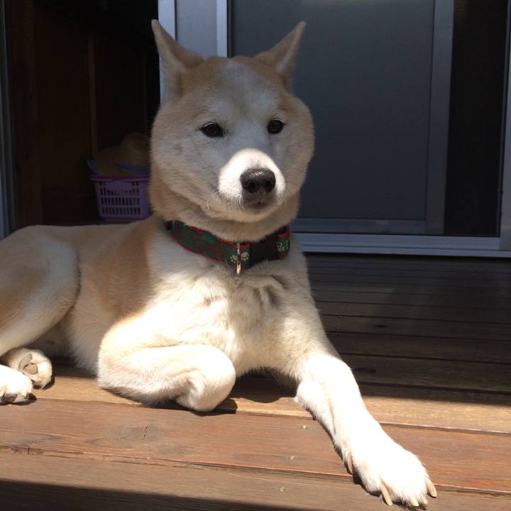 2f0698c1 3269 443d 9a54 d0a796d94374